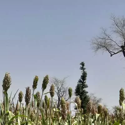 interdisziplinaer interdisziplinaer